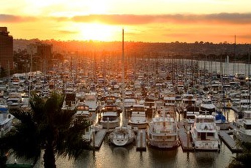 Sailboats Docked at Marina - Safe Harbor Cabrillo Isle - San Diego, California - Marinalife