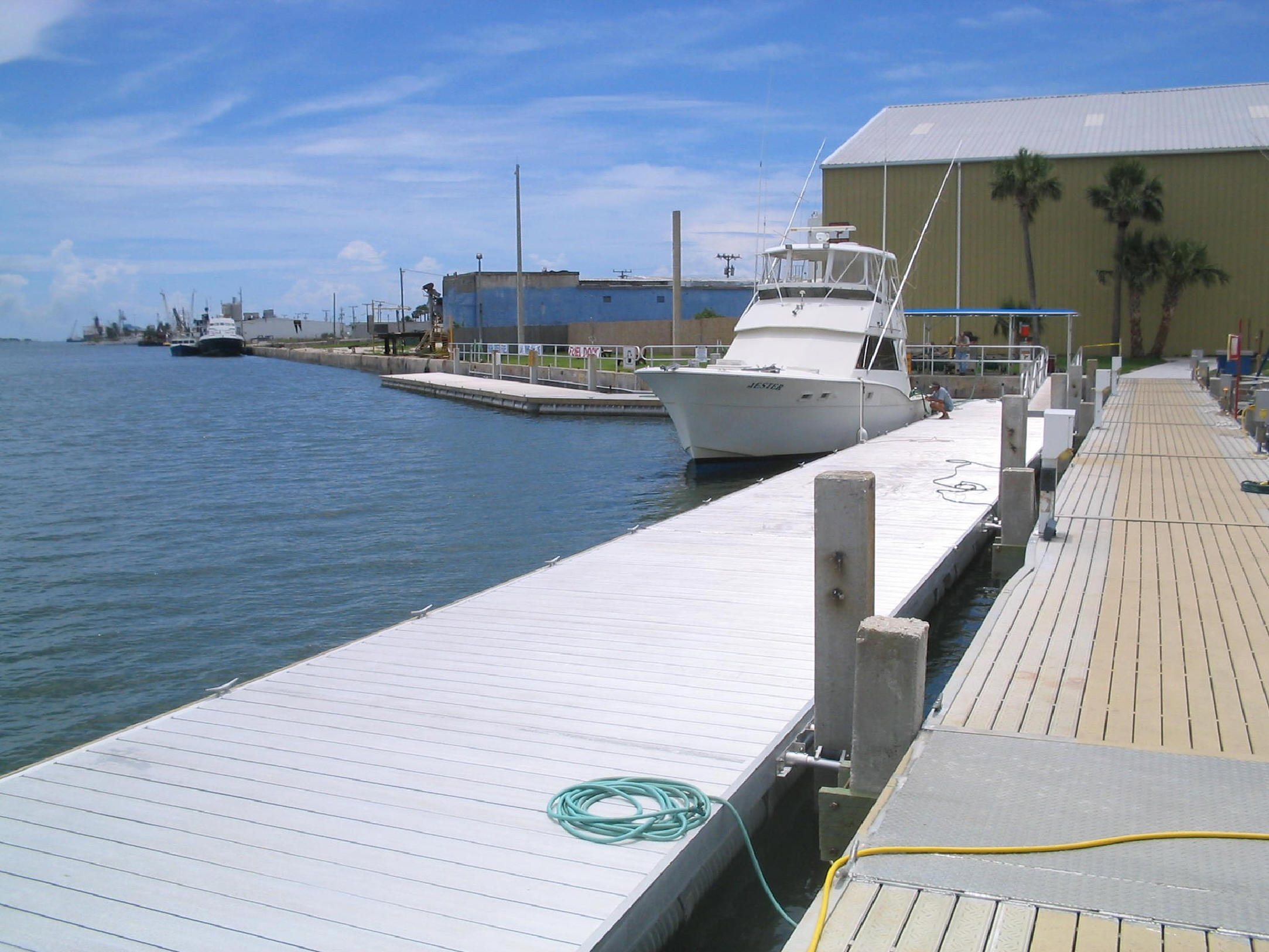 Cape Marina - Port Canaveral, Florida - Marinalife