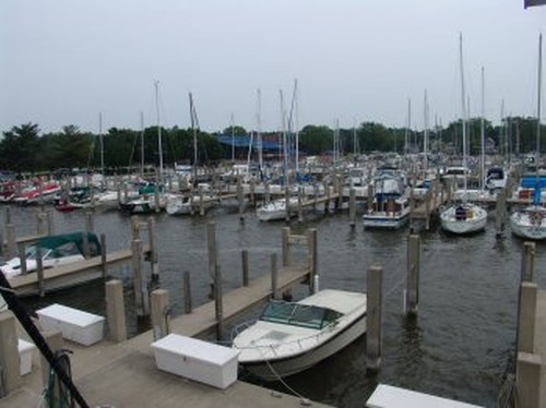 anchorage yacht club holland mi