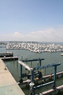Indian River Marina - Rehoboth, Delaware - Marinalife