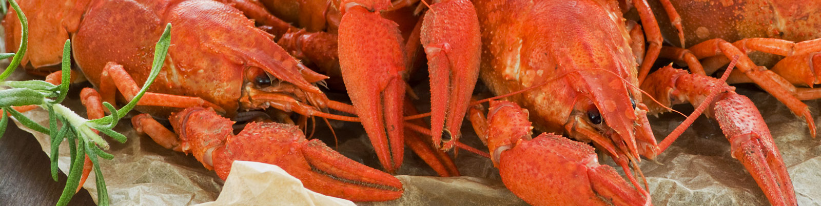 Get Hooked on Local Seafood – From the Maine Lobster to the Louisiana Crawfish