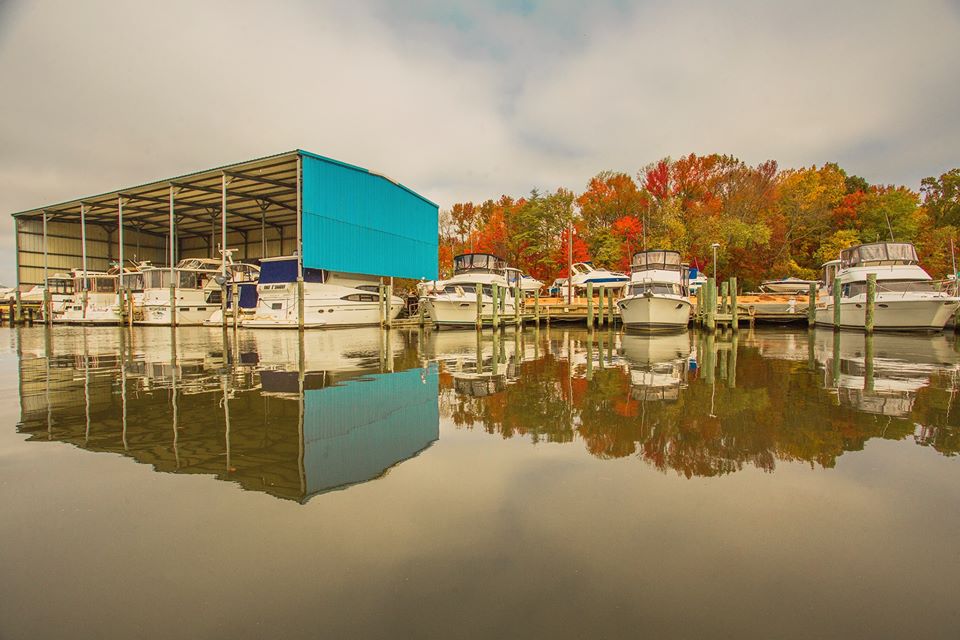 McDaniel Yacht Basin - North East River - Chesapeake Marina - Marinalife