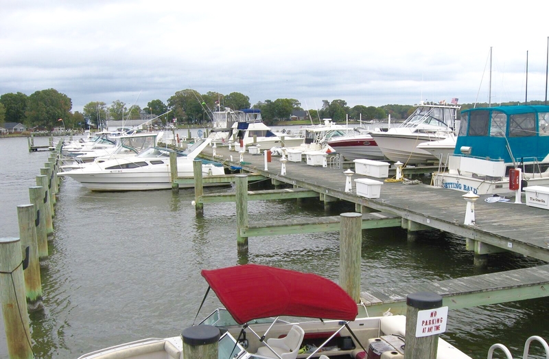 Ventnor Marina - Chesapeake Bay - Marinalife