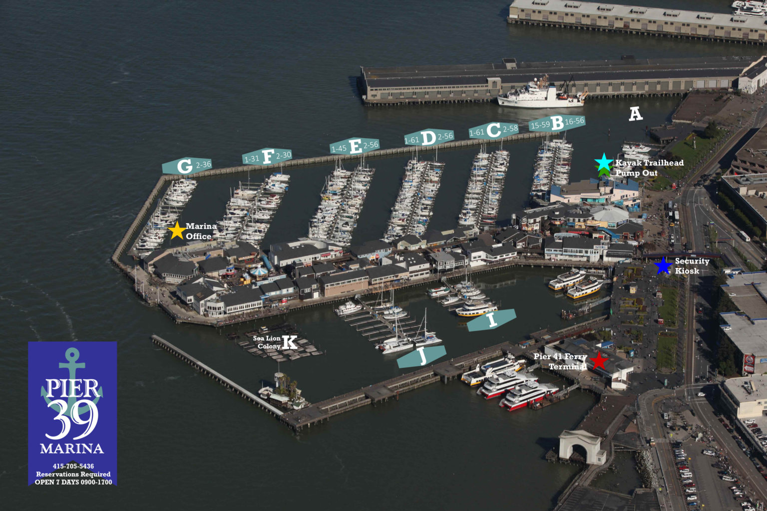 Pier 39 Marina Fisherman's Wharf - San Francisco - Marinalife