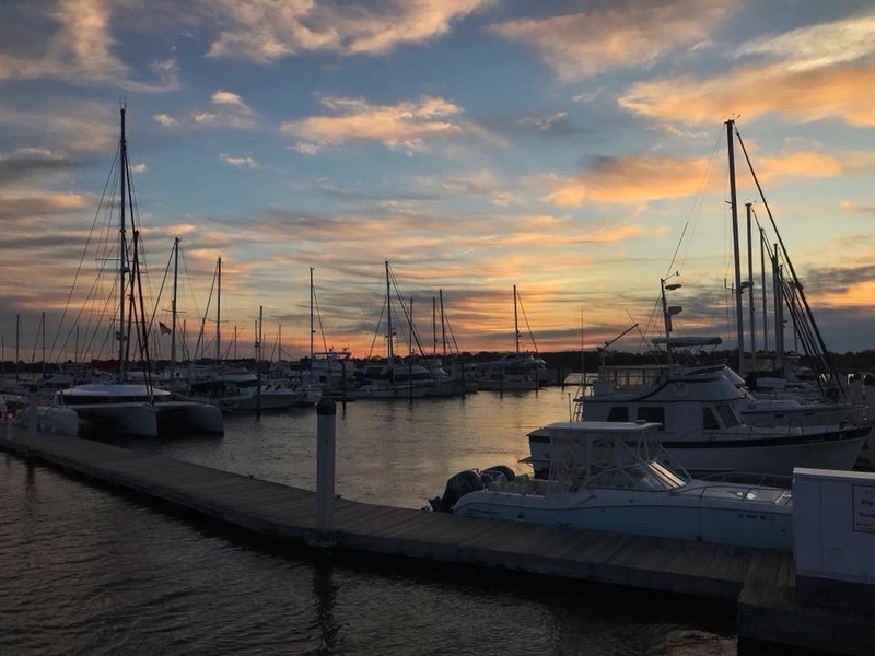 St. Johns Yacht Harbor - South Carolina - Marinalife
