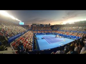 Los Cabos Tennis Open