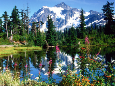 Photo mountains, lakes, and wildflowers | Bellingham Washington | Marinalife