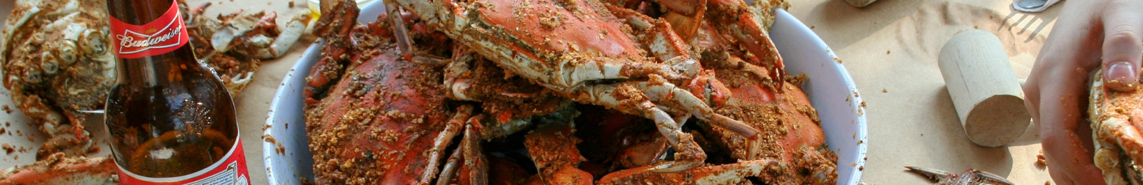 Crab Happy on the Bay: New Dock & Dines