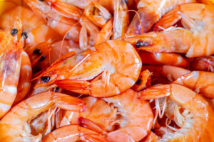Shrimp | Crustacean | Food | Marinalife