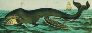 Bartenwal 1870 | New England Whaling | History | Marinalife