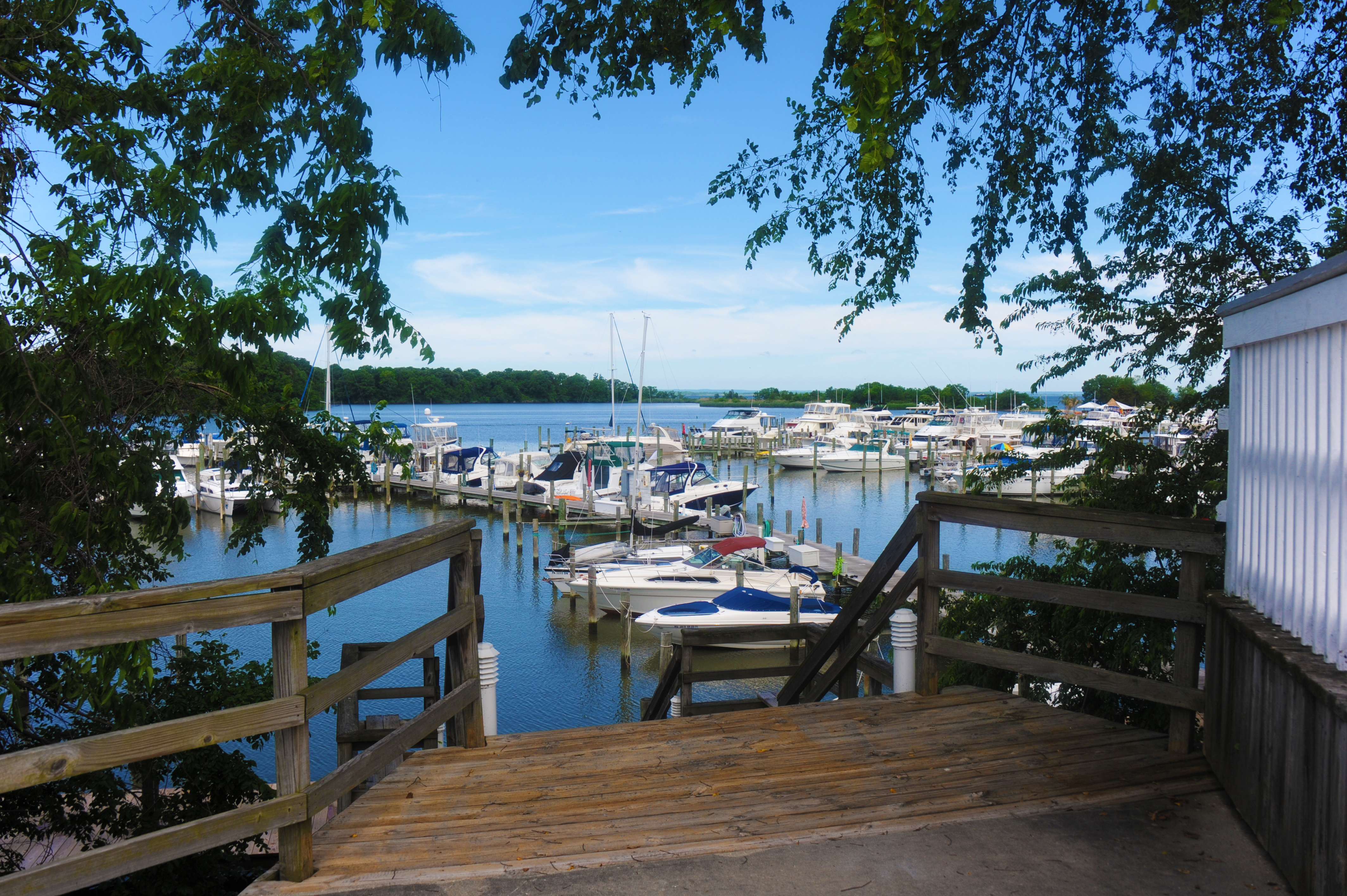 Mears Great Oak Landing Marina | The Chesapeake Bay | Travel Destination | Marinalife