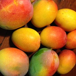 Bright Mango | Florida's Tropical Fruit | Marinalife