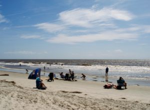 Folly Beach by Wikimedia Commons | Johns Island, South Carolina | Marinalife