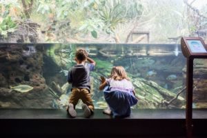 Children and Fish Credit by National Aquarium Baltimore | Seaside Aquariums | Marinalife