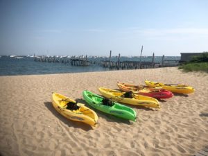 Kayaks on the beach | Provincetown | Marinalife