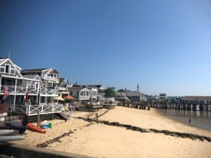 Provincetown MA Bayside Beach | Provincetown | Marinalife