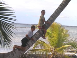 Kids on Palm Tree | Island Time | Marinalife