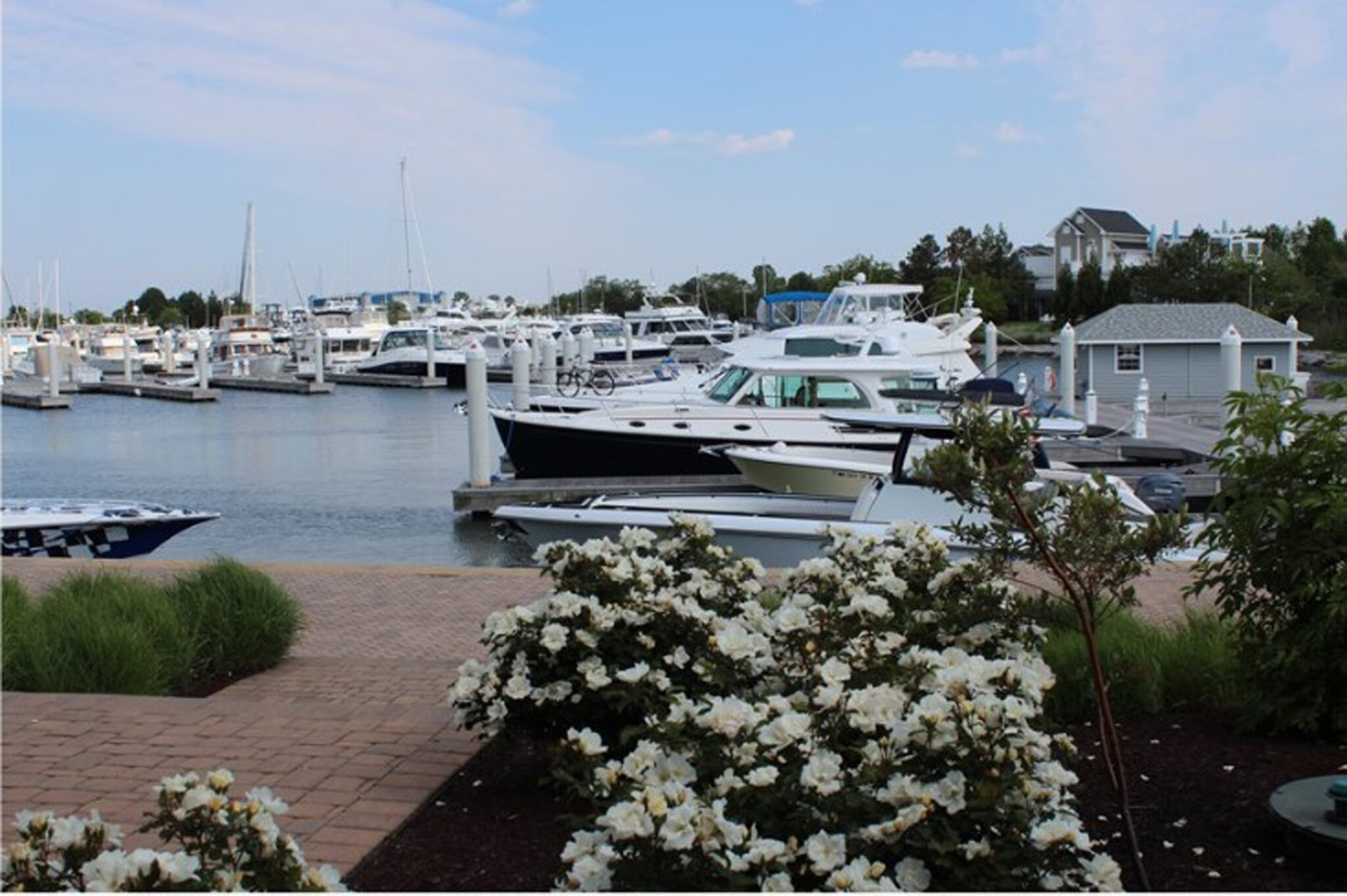 Bay Bridge Marina - Stevensville, MD | Marina Spotlights | Marinalife