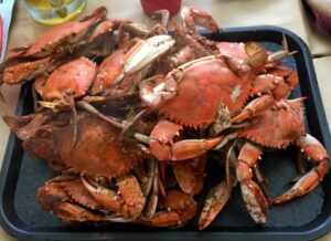 Crabs at Cappy's Crabs | Crabs | Marinalife