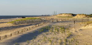 Delaware Seashore State Park from Wikipedia | Lewes and Rehoboth | Marinalife