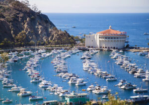 Aerial View of Avalon from Catalina Island Company | Santa Catalina Getaway | Marinalife