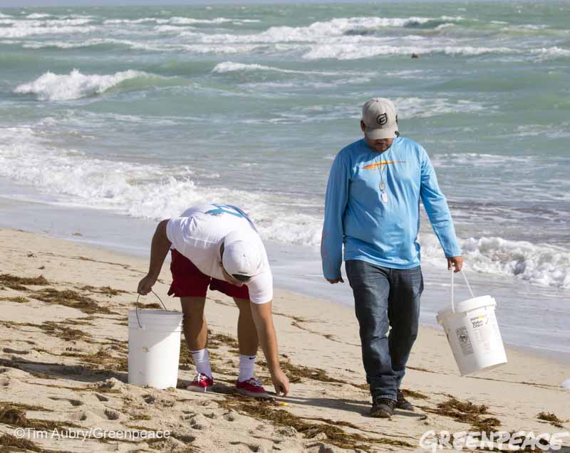 Surfrider and Greenpeace Beach Clean Up from GreenpeaceUSA | Environmental | Marinalife