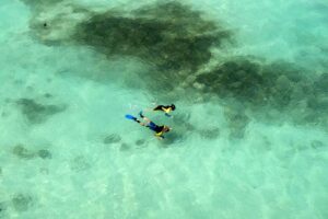 Snorkeling at Dry Tortugas National Park by Ajith Rajeswari | Cruising Stories | Marinalife