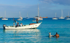 Barbados - Caribbean Travel Tips - marinalife