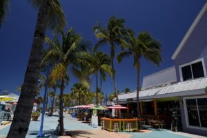 Fort Myers Beach, FL - Florida's Islands - marinalife