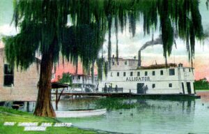Vintage Steamboat Postcard | Florida's Coasts | Marinalife