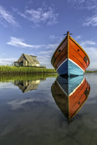 Reflections on the Eastern Shore - Photo Contest Winners - Marinalife