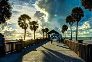 Clearwater Pier | Florida's Coasts | marinalife