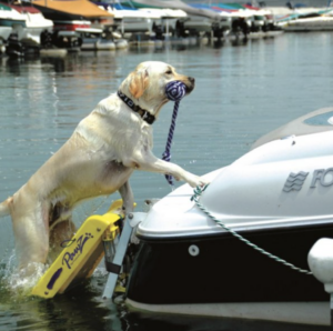 Dog Boat Ladder - Boating Accessories - Marinalife