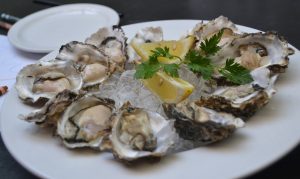 Oyster Plate - ne oysters- marinalife