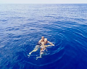 Mid-Ocean Swim - cruising w members - marinalife