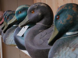duck decoys - cb museums - marinalife