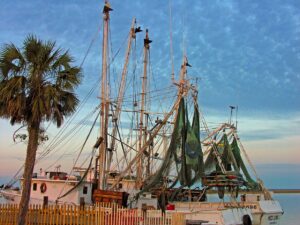 Apalachicola Shrimp Boats - itinerary - marinalife