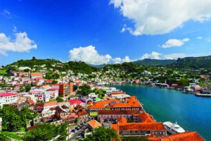 Grenada - this or that - marinalife