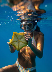 Snorkeling starfish - cruising bahamas - marinalife