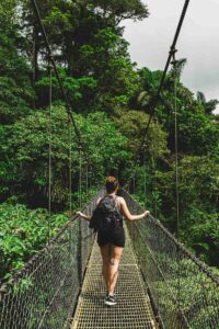 Hanging bridge in rainforest - costa rica - marinalife